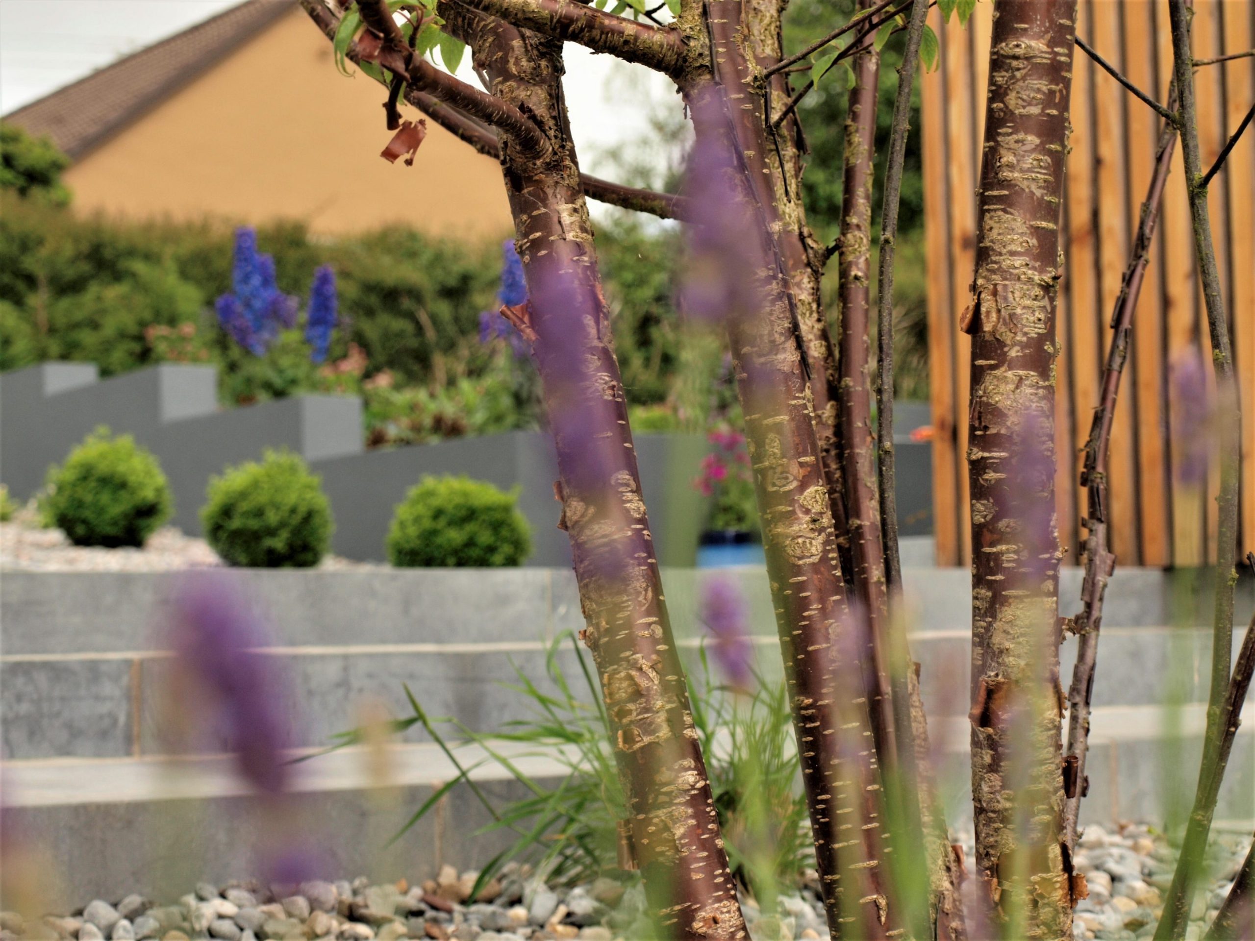 A country garden designed by Anita Barber in Blarney