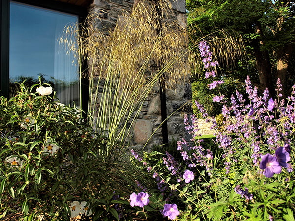 Instagram photo 3 from Anita Barber Garden Design